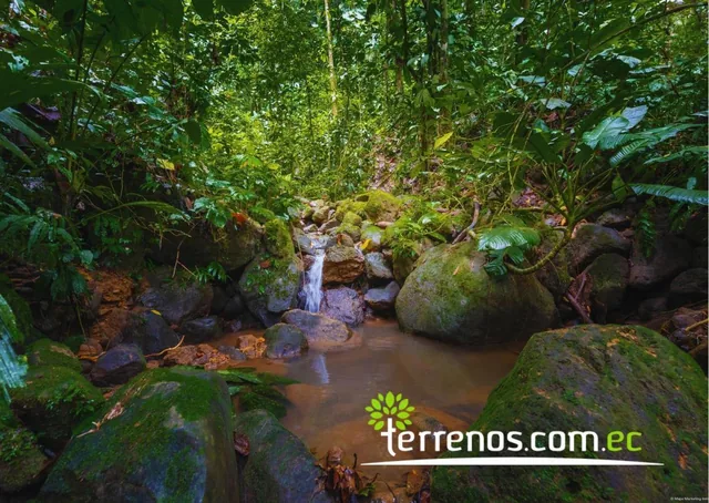 Terrenos en Venta Desde 800 m², Urbanización Surú, Puerto Quito — imagen 4