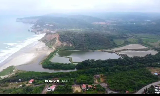 Hermoso Terreno Primera Linea del Mar Canoa 15hc Narias, Manabí — imagen 2