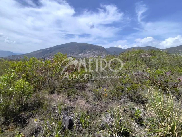Terreno en Venta de 490 m² – San Antonio — imagen 5