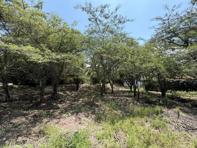 Terreno en Venta Sector La Viña — imagen 3