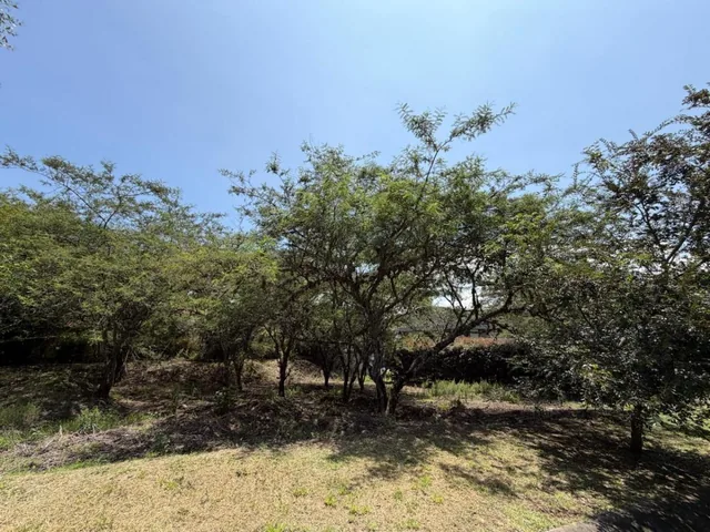 Terreno en Venta Sector La Viña — imagen 2