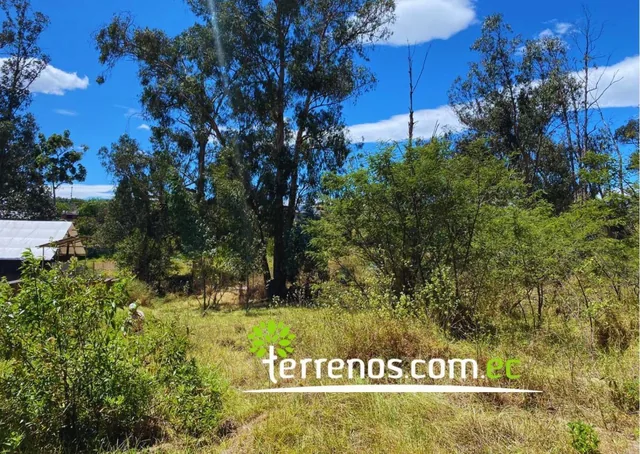 Terreno Independiente de Venta en Tumbaco 6,194.27 m², Sector Tola Grande — imagen 5