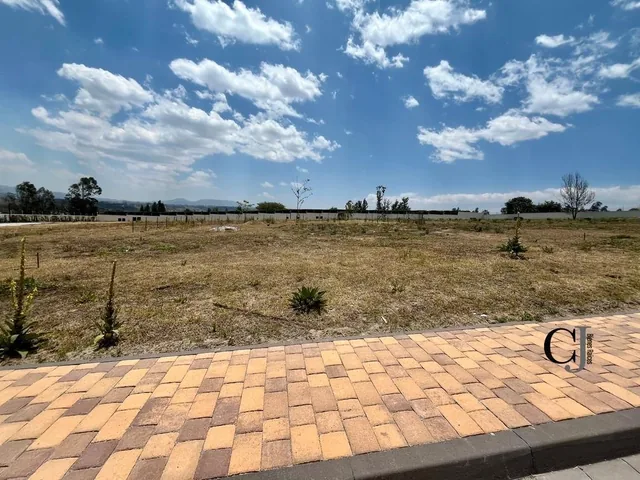 Puembo Venta Terreno, Urbanización Exclusiva — imagen 2