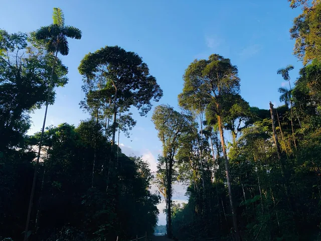 Hermosa Propiedad en Palora, Morona Santiago — imagen 3