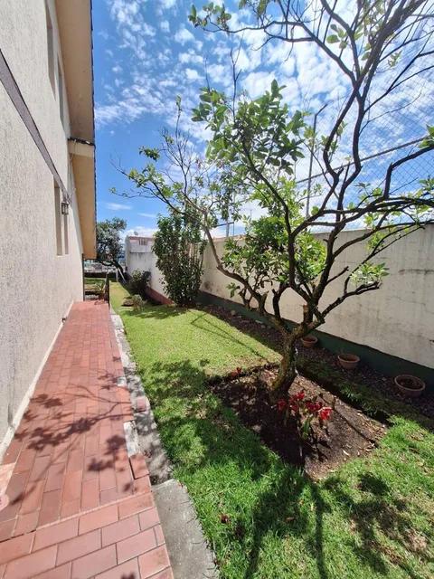 Venta de Amplia Casa Remodelada con Jardín, Bbq y Dormitorio en Planta Baja – Valle de Los Chillos — imagen 2