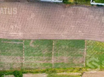 Venta de Terreno Sector Puembo - Cerca Club Los Arrayanes — imagen 4