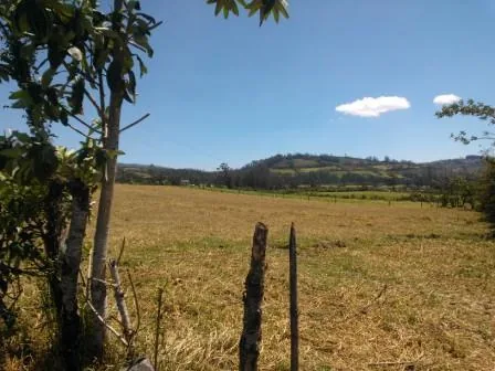Venta Terreno Industrial Sur de Quito — imagen 5