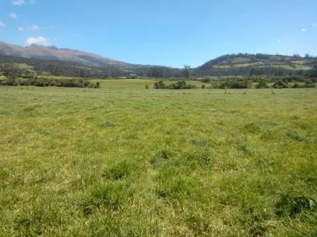 Venta Terreno Industrial Sur de Quito — imagen 2