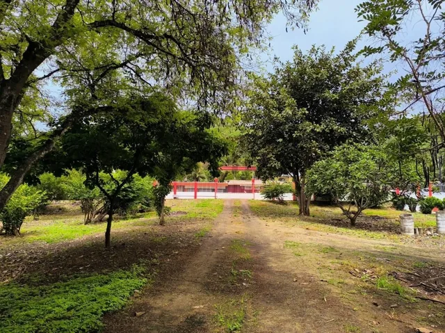 Terreno en Venta en El Sector El Limon de Picoaza - Portoviejo, Manabí — imagen 3