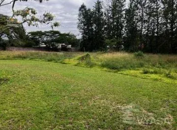 Puembo Arrayanes, Excelente Terreno de 2.364 m² en Venta — imagen 4