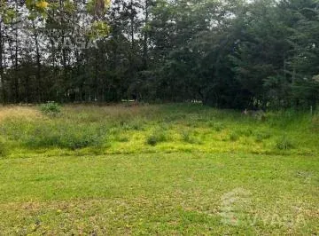 Puembo Arrayanes, Excelente Terreno de 2.364 m² en Venta — imagen 2