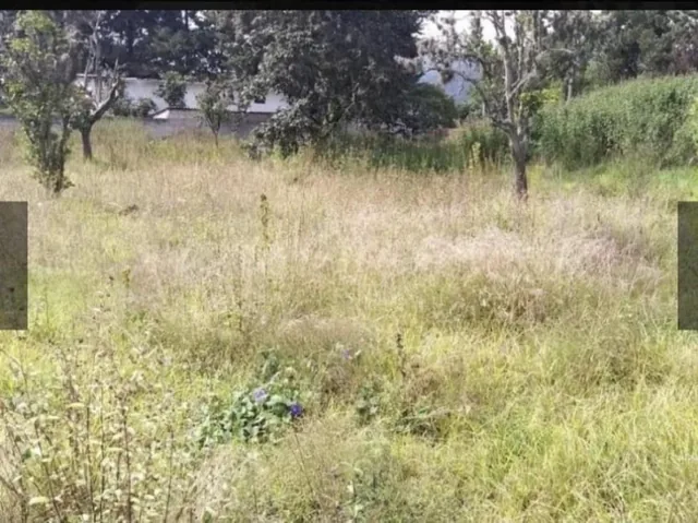 Terreno - Nayón — imagen 3