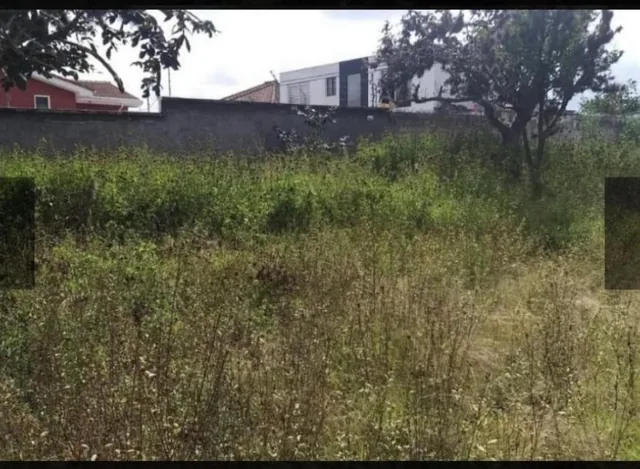Terreno - Nayón — imagen 2