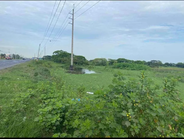 Venta de 120.000 m² en La Vía Los Lojas, Se Ingresa Desde La Via Salitre, Km 12 por Via Asfaltada. Guayas — imagen 5
