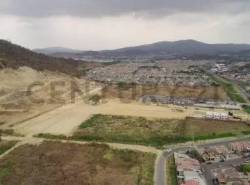 Venta Terreno Estratégico en La Aurora, 1 Hectárea Ideal Para Desarrollo J. Gar, Guayas — imagen 5