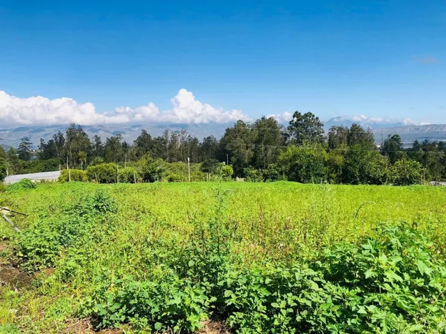 Vendo en Guaylabamba 412 m² Credito Directo — imagen 5
