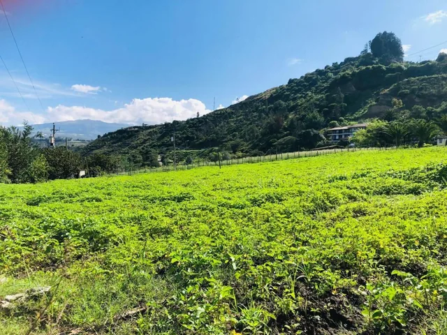 Vendo en Guaylabamba 412 m² Credito Directo — imagen 3