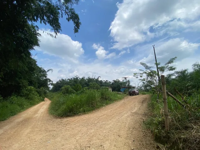 Vendo 77 Hectáreas Planas en El Sector de Paraíso Alto en Pedro Vicente Maldonado — imagen 4