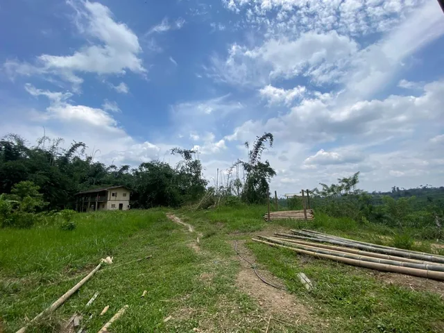 Vendo 77 Hectáreas Planas en El Sector de Paraíso Alto en Pedro Vicente Maldonado — imagen 3