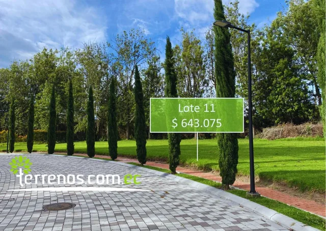 Terrenos de Venta Desde 2.397 m² Hasta 2.618 m² en Urb. Habitat Caravalón, Arrayanes - Puembo — imagen 5