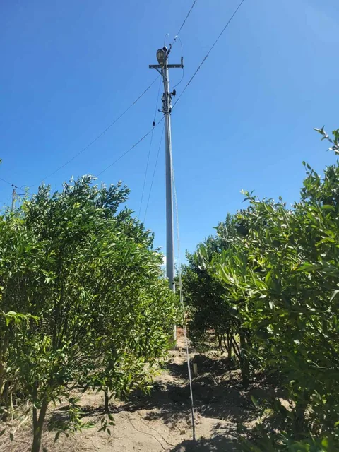 Lote con Arboles Frutales en Venta - Sector Tanda - Vía Ibarra. — imagen 4