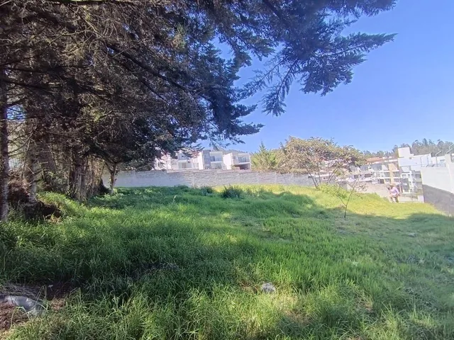 Se Vende Terreno en Inchapicho con Vista Espectacular — imagen 5