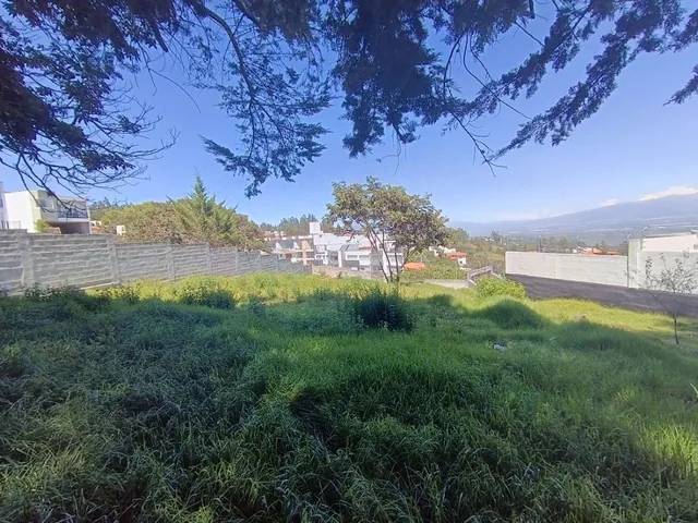 Se Vende Terreno en Inchapicho con Vista Espectacular — imagen 4