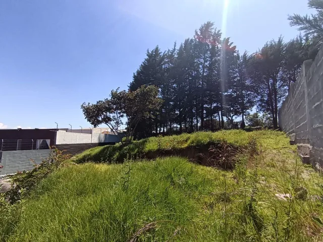 Se Vende Terreno en Inchapicho con Vista Espectacular — imagen 3
