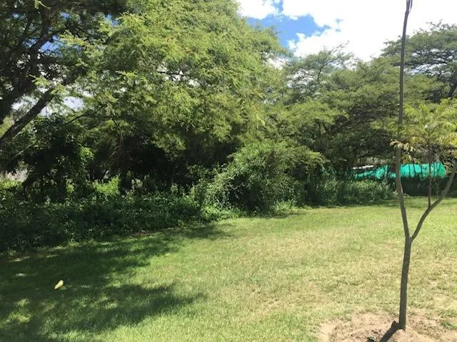 Venta Terreno Urbanizacion Arrayanes Puembo — imagen 3