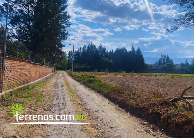 Terreno de Venta de 4.792,81 m², Vía Los Arrayanes - Puembo — imagen 4