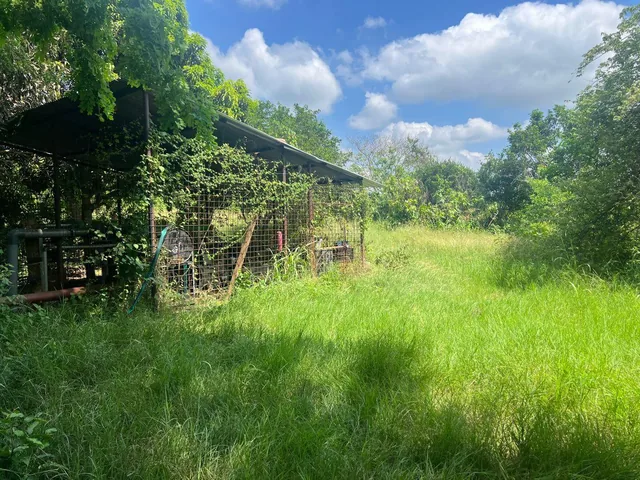 Venta Finca 30 Has Vía a Limoncito, Km 30 Vía La Costa a La Derecha, Sector Limoncito - Juntas, Guayas — imagen 4