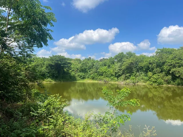 Venta Finca 30 Has Vía a Limoncito, Km 30 Vía La Costa a La Derecha, Sector Limoncito - Juntas, Guayas — imagen 2