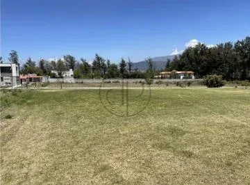 Puembo Mangahuantag 1250 m² Terreno en Venta Urbanizacion Privada — imagen 5