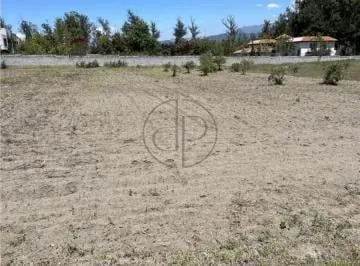 Puembo Mangahuantag 1250 m² Terreno en Venta Urbanizacion Privada — imagen 4