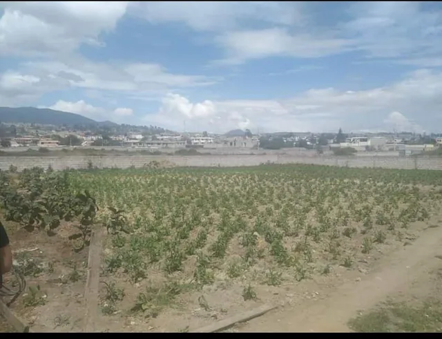 ️️se Vende Terreno Plano de Oportunidad Sector Calderon Norte de Quito.️️ — imagen 5