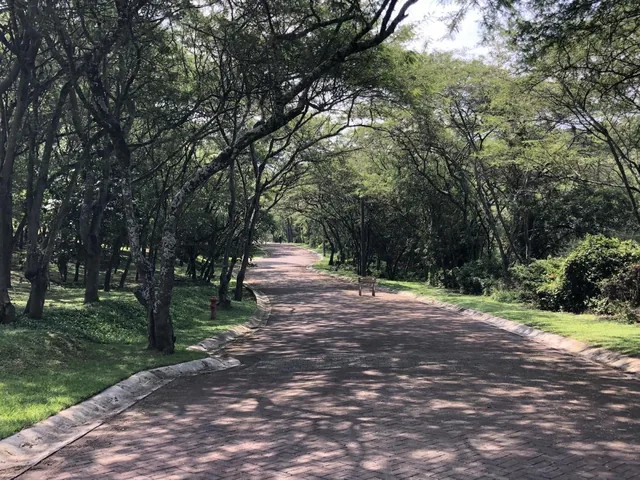 Terreno de Venta Dentro de La Urbanización La Viña. Diseño Londoño — imagen 2