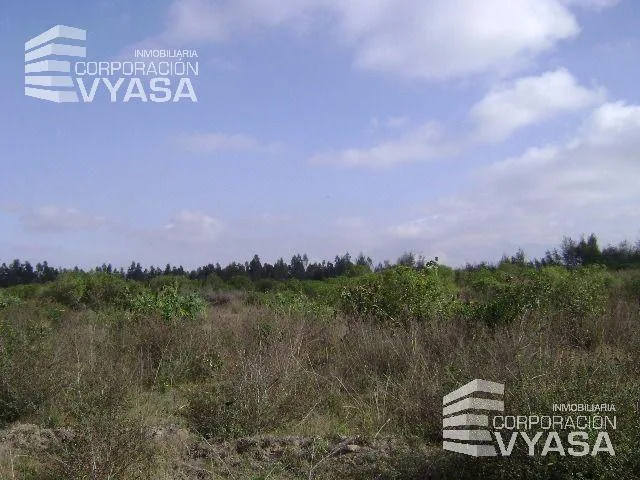 Tababela, Nuevo Aeropuerto, Lote de Terreno en Venta, 2.75 Ha — imagen 4