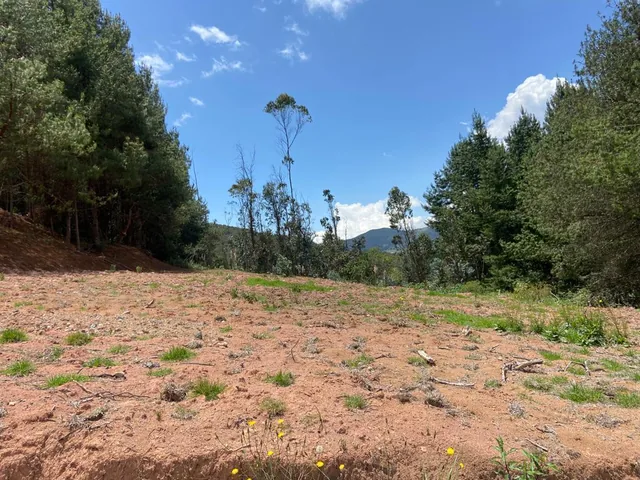 Terreno en Venta, Sector Tarqui, Zhucay, Azuay — imagen 3
