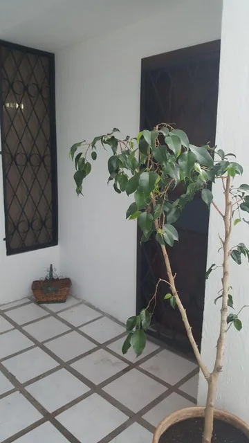 Departamento Dúplex de 160 m² con 4 Dorm. en Venta La Vicentina en Centro Norte — imagen 5