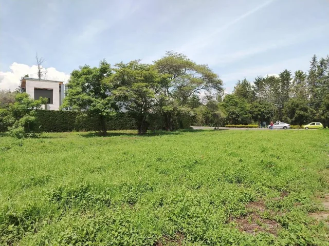 Terreno en Puembo — imagen 5