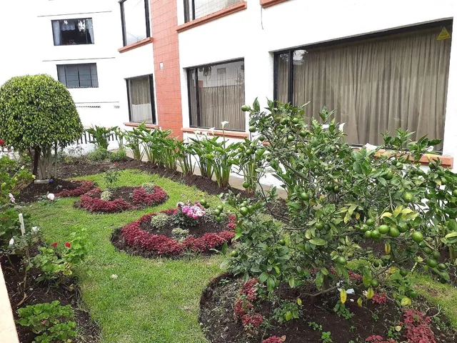 Departamento en Venta, Sector Colegio Americano - Carcelén — imagen 4