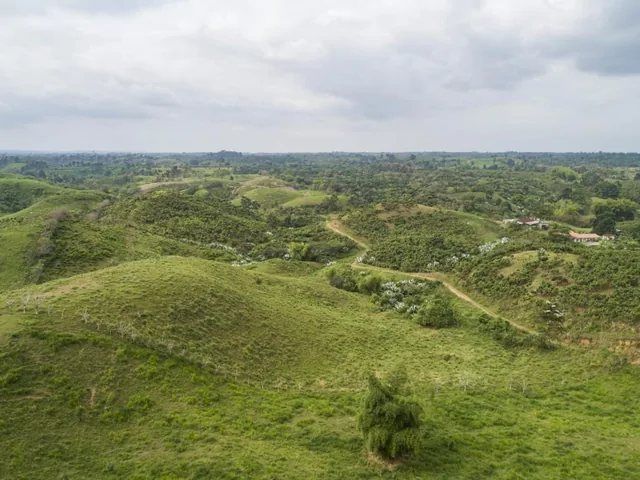 Se Vende Finca Ganadera de 190 Has en La Concordia — imagen 5