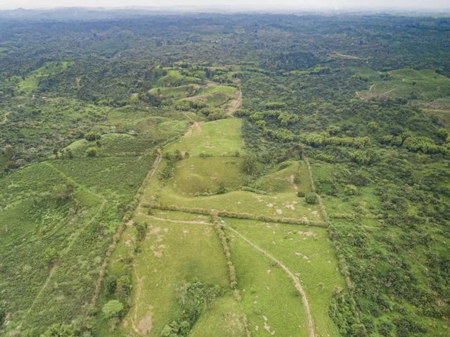 Se Vende Finca Ganadera de 190 Has en La Concordia — imagen 4