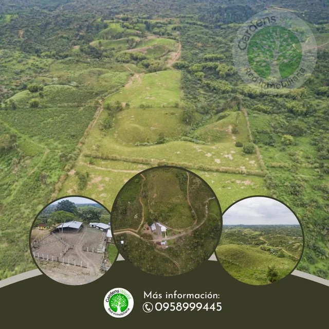 Se Vende Finca Ganadera de 190 Has en La Concordia — imagen 2