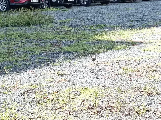 Terreno en Venta Sector Mariana de Jesús — imagen 3