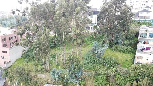 Venta de Terreno Unión Nacional 668 m² Independiente El Bosque - Occidental — imagen 4