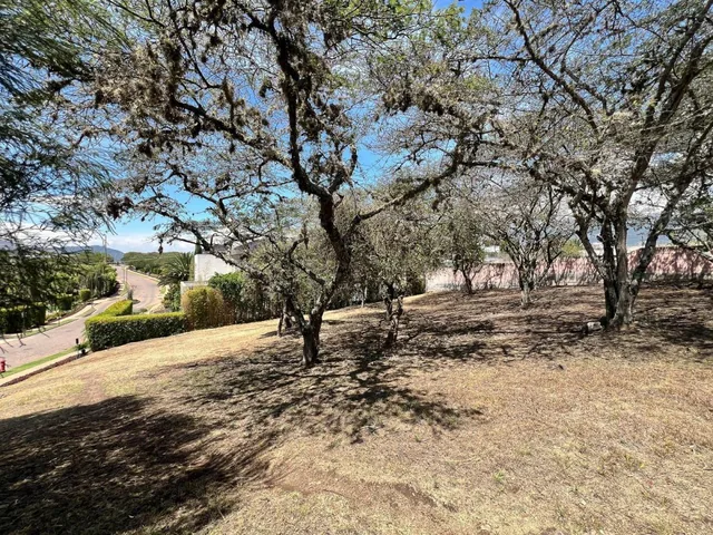 Lindo Terreno de Venta Ubicado en Cumbayá Dentro de La Urbanización Jardines de Santa Inés — imagen 5