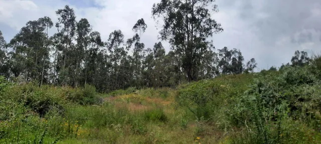 Vendo Lindos Terrenos de 5367 m y 6367 m con Excelente Vista en Pifo — imagen 3