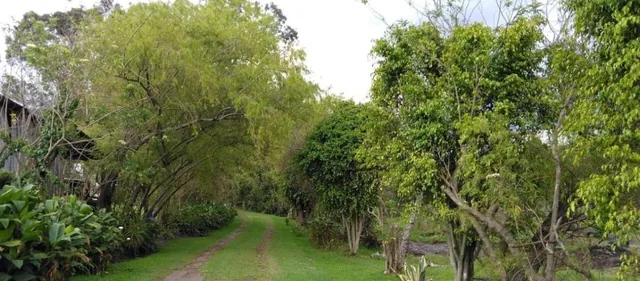 Hermoso Terreno Entre Puembo y Pifo — imagen 4