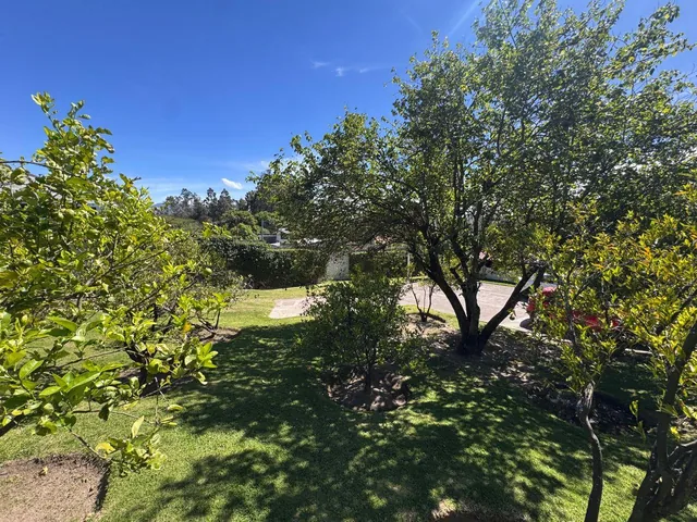 Hermosa Propiedad en Venta - Tumbaco - 1.775 m² - Ideal Para Construir o Tu Casa de Campo — imagen 2